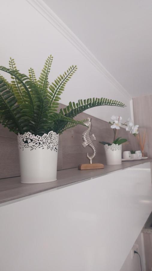 Apartamento Margarita Con Piscina En Playa Honda, Playa Las Americas Arona  Bagian luar foto