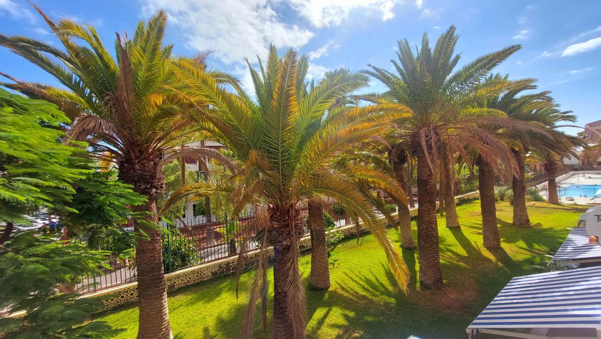 Apartamento Margarita Con Piscina En Playa Honda, Playa Las Americas Arona  Bagian luar foto